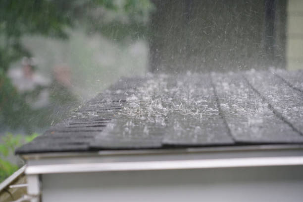 Best Storm Damage Roof Repair  in Enochville, NC