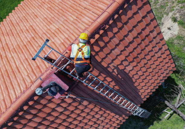 Best Roof Moss and Algae Removal  in Enochville, NC