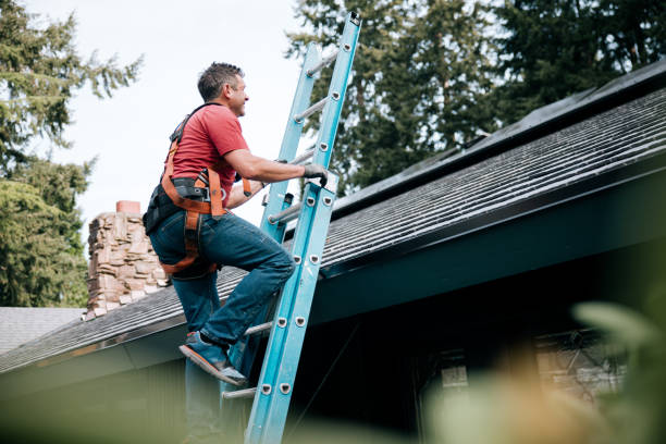 Best Asphalt Shingle Roofing  in Enochville, NC
